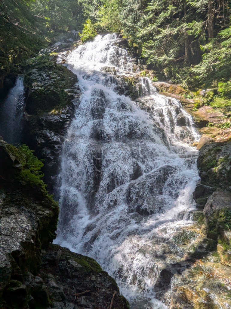 Lynn Headwaters Regional Park